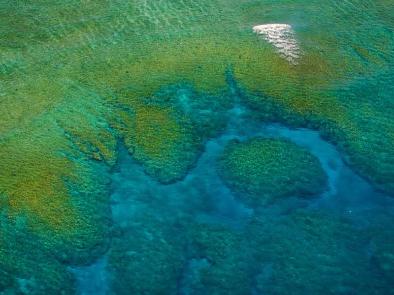 Aerial view of Naitauba reef