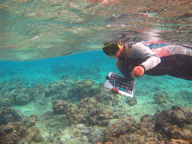 Survey of Naitauba reef