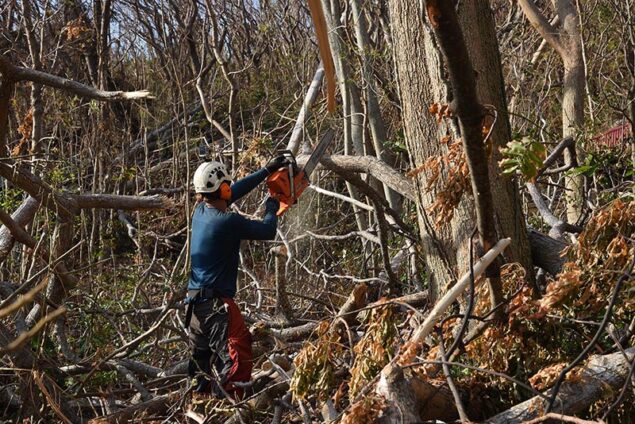 Volunteer on Naitauba pruning trees damaged by Cyclone Winston.