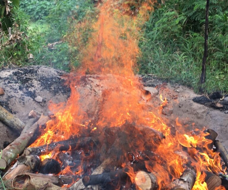 Biochar fire burning wood gas only (no smoke).