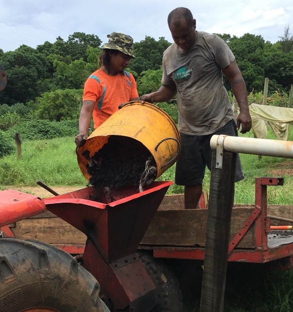 Grinding biochar pieces into fine powder with the farm’s grinder.