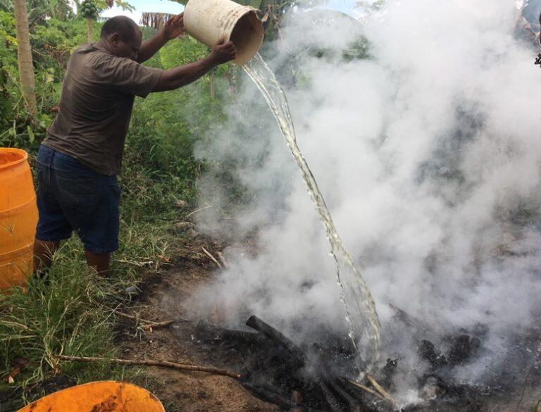 Quenching the biochar fire with water.