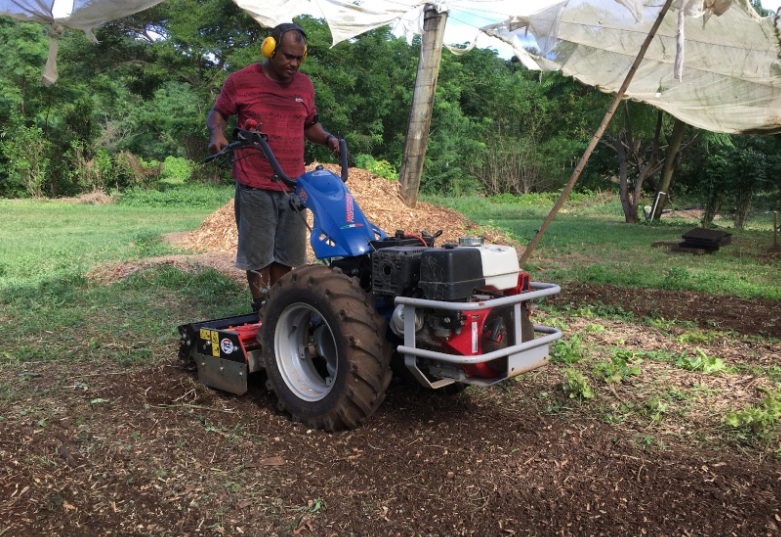 Using the two-wheeled tractor and power harrow to prepare beds for planting on the Naitauba farm.