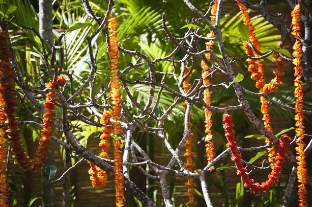 Trees adorned with flower garlands